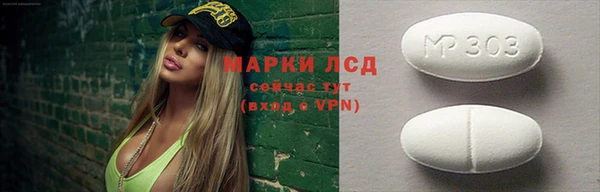 шишки Медвежьегорск