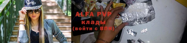 шишки Медвежьегорск