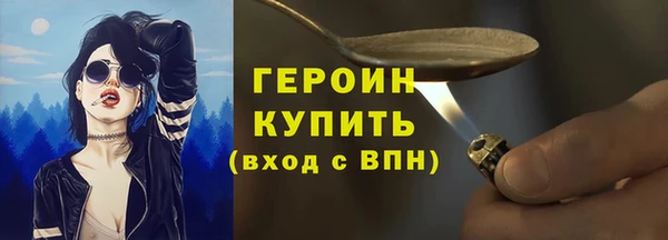 шишки Медвежьегорск