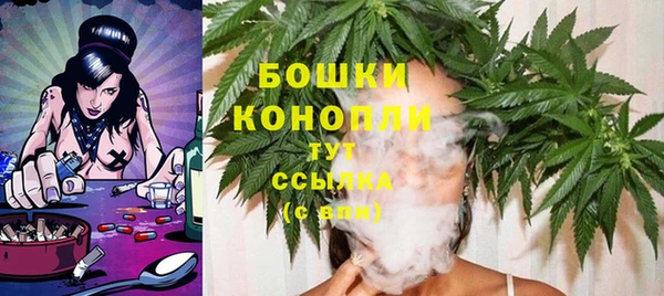 амф Михайловск
