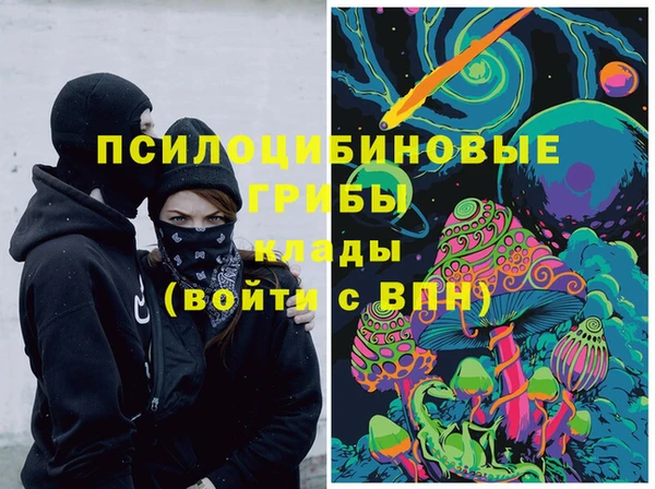 дживик Богданович