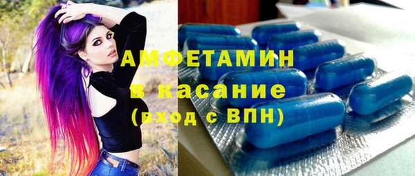 шишки Медвежьегорск