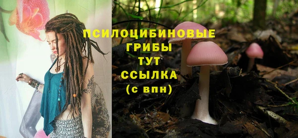шишки Медвежьегорск