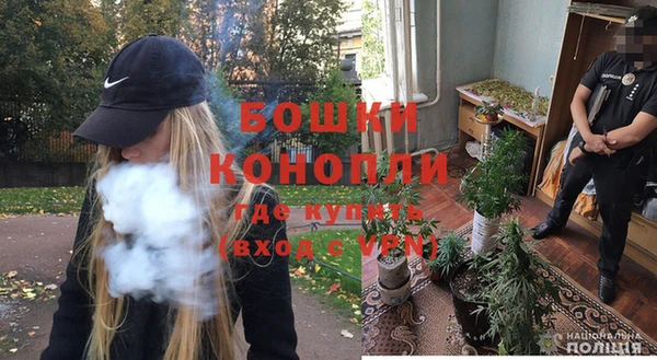 амф Михайловск