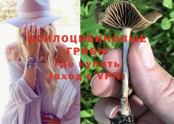 амф Михайловск