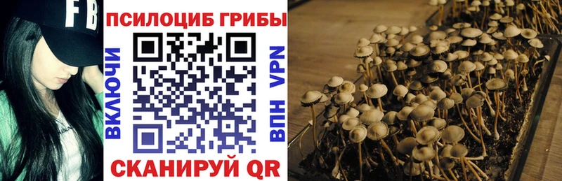 Галлюциногенные грибы мицелий  Котовск 
