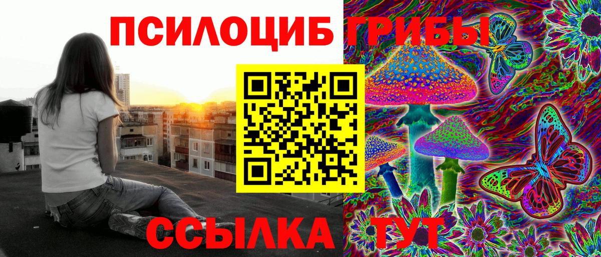 Псилоцибиновые грибы Psilocybine cubensis Котовск