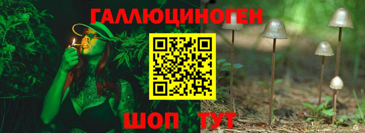 Псилоцибиновые грибы ЛСД  Котовск  наркота  Псилоцибиновые грибы Magic Shrooms 
